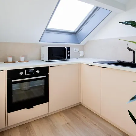 Cloud Stylish Flat With Ac And Jacuzzi Near Center 阿讷西